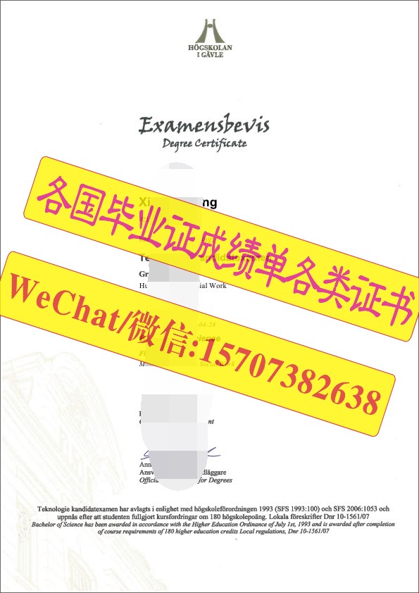 瑞典耶夫勒大学文凭毕业证学位原版样本